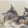 Ferdinand Oger, la chatte et son petit chat