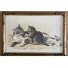 Ferdinand Oger, la chatte et son petit chat