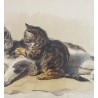 Ferdinand Oger, la chatte et son petit chat