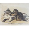 Ferdinand Oger, la chatte et son petit chat