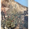 Jules Badin, le chasseur de papillons