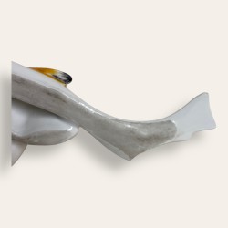 Congre Edouard Marcel Sandoz, Haviland