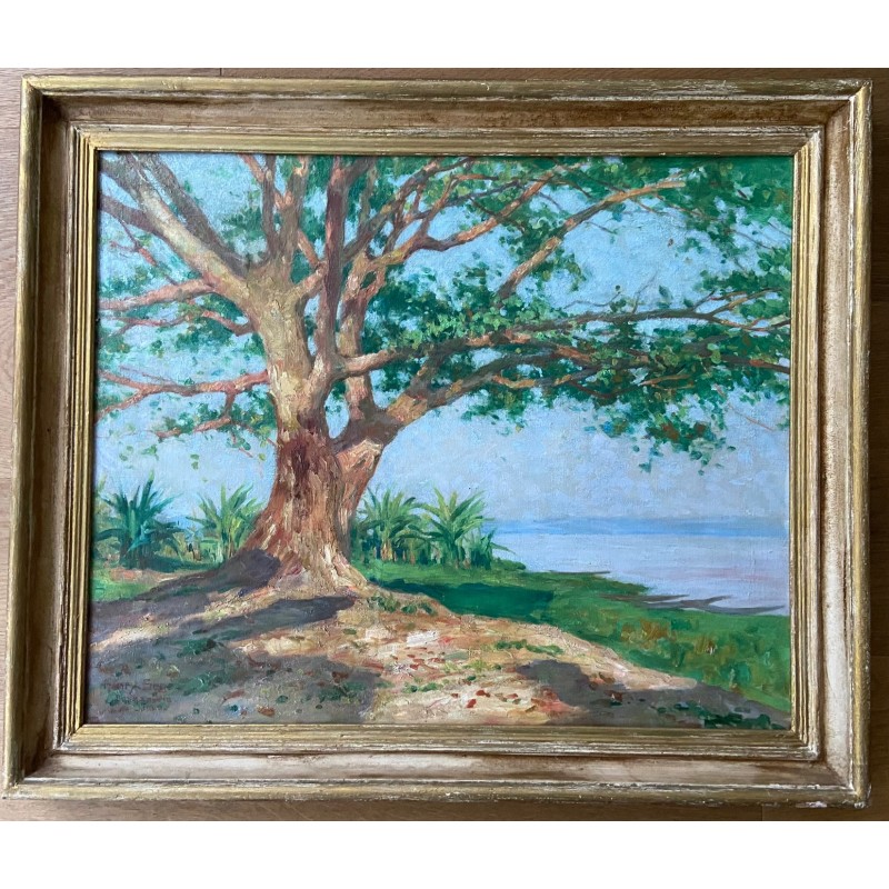 Henri Séné, Brazaville, le fleuve Congo en 1929. Afrique