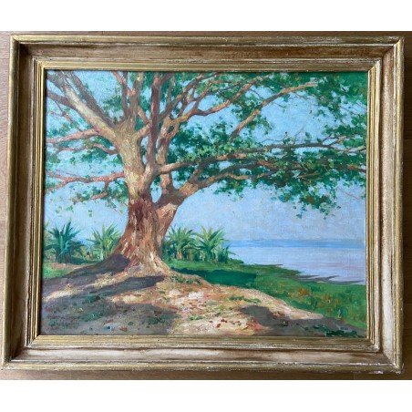 Henri Séné, Brazaville, le fleuve Congo en 1929. Afrique