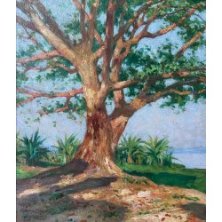 Henri Séné, Brazaville, le fleuve Congo en 1929. Afrique