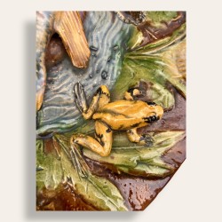 Fish dish by François Goras, Angoulême