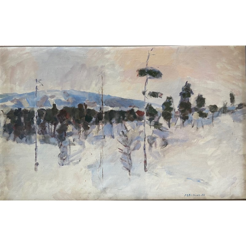 Per Stenius, paysage nordique